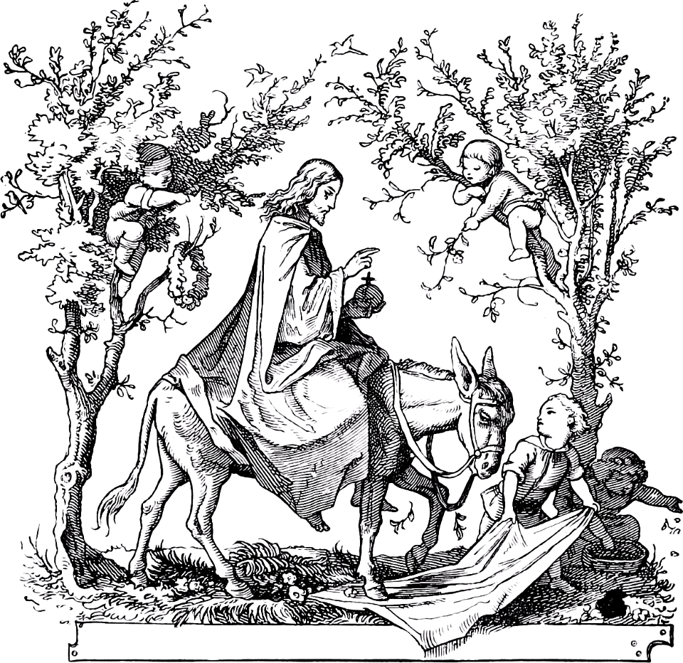 11 Luke 19 - The Triumphal Entry (needs text - Blessed is He)