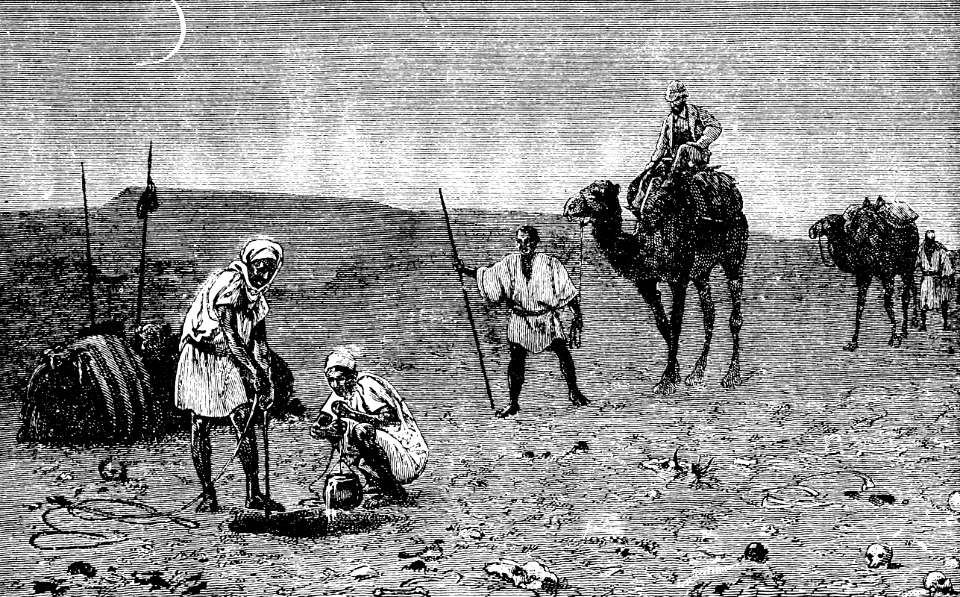 03 Camel (Leviticus 11 v04)