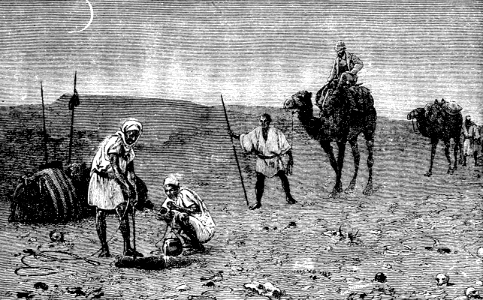 03 Camel (Leviticus 11 v04)