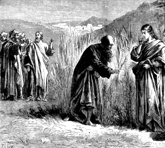 033 The Disciples pluck grain on the Sabbath