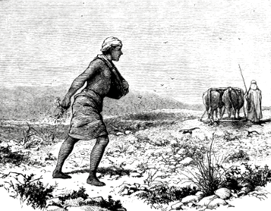 045 Parable of the Sower
