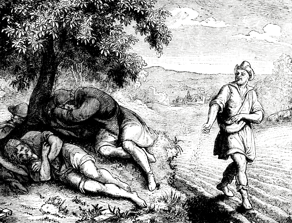 046 An Enemy sows Tares
