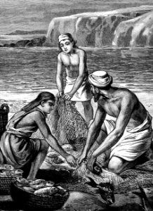 052 The Fisherman separate the Good Fish from the Bad
