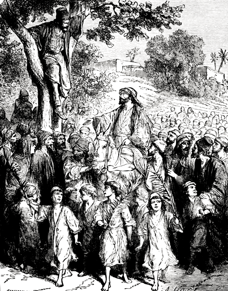 103 Zaccheus in the Sycamore Tree - Jesus asks him to come down