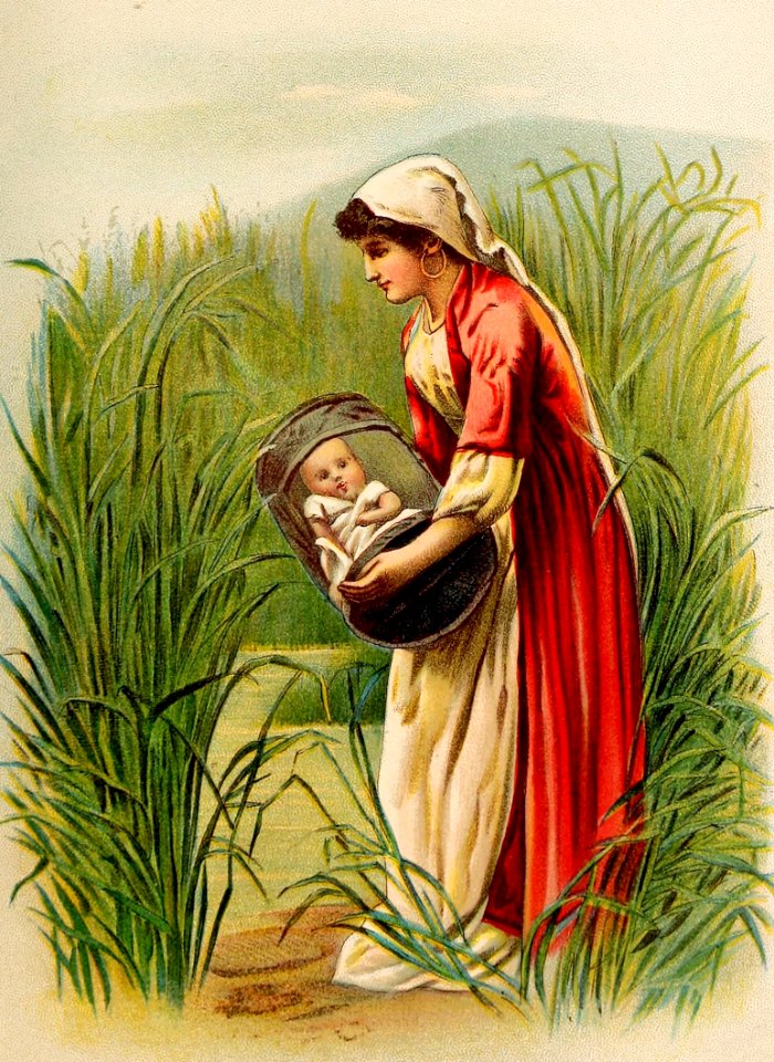 16 Baby Moses placed in a basket in the bulrushes (color)