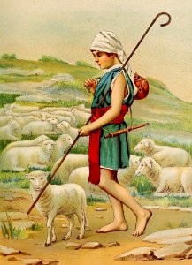 30 David watching the Sheep (color)
