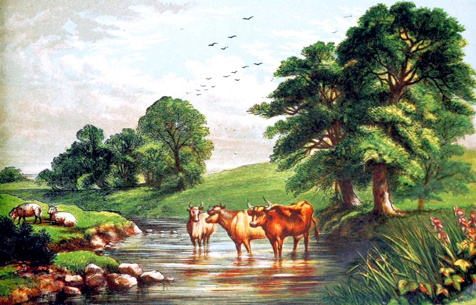 04 Psalm 104 v10-12 The Cattle drinking, Birds flying among Trees