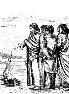 Acts 28 v05 - Paul shakes off the serpent