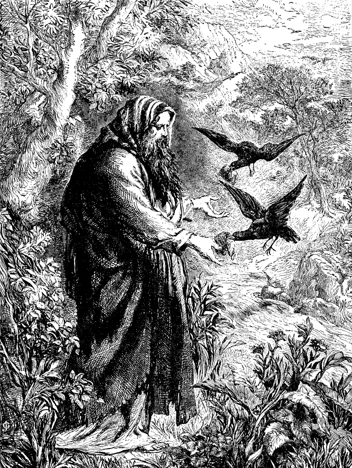 37 Elijah fed by Ravens