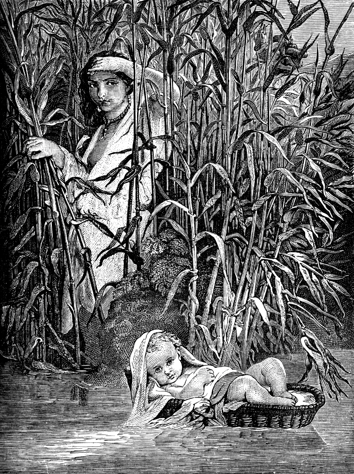 11 The Finding of Moses in the Basket