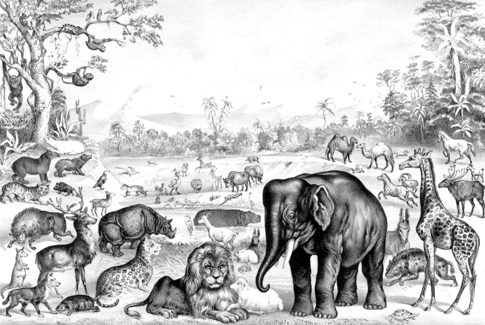 The Animal Creation (Currier and Ives 1875)