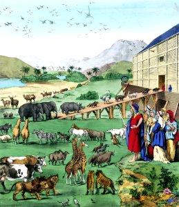 Noahs Ark (1882)