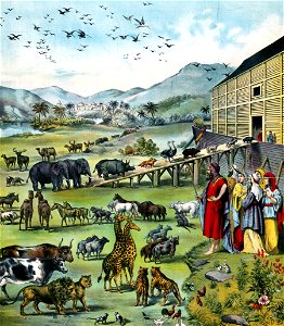 Noahs Ark (1899)