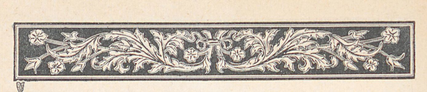 AMont15223_0127