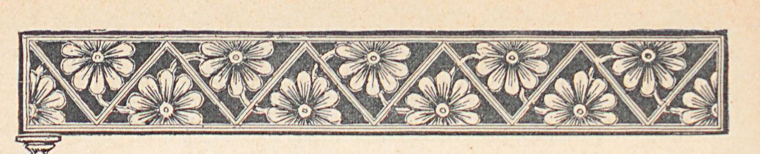 AMont15223_0143