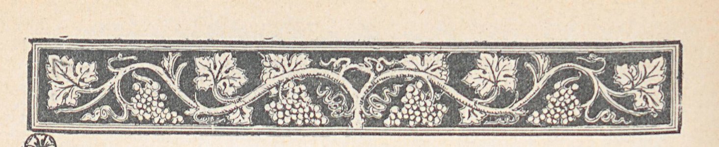 AMont15223_0157