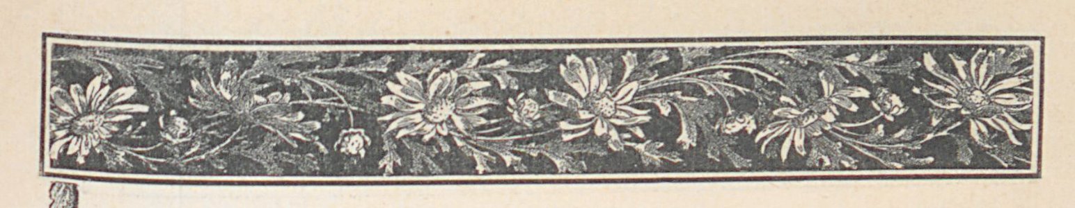 AMont15223_0194