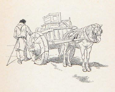 AMont15223_0239