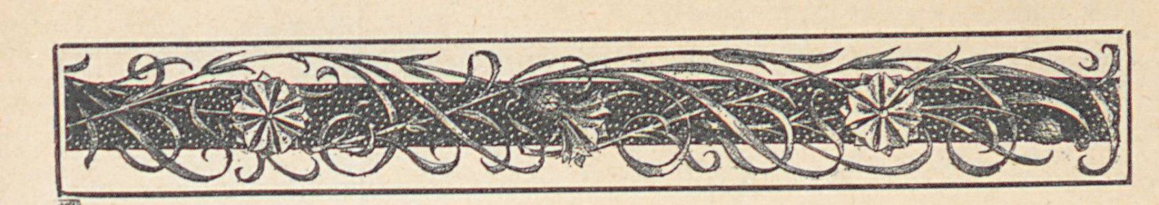 AMont15223_0270