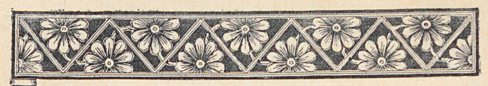 AMont15223_0317