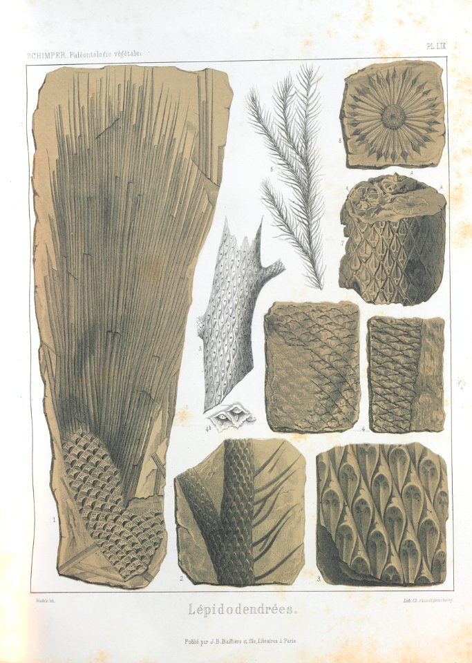 A323434_0096