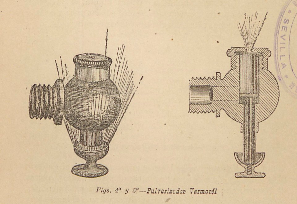 ARust1163_0060