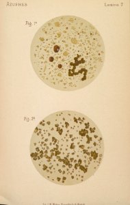 ARust1163_0102