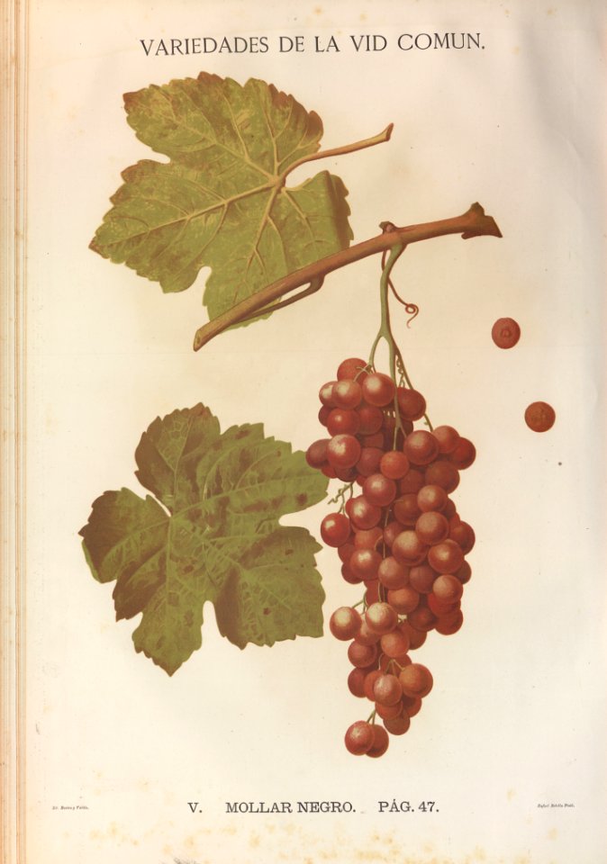 A323445_0105