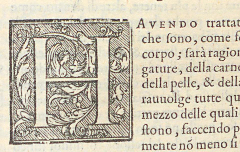 ARes685051v1_0108