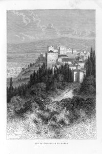 QArm063_0078