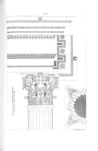 HArteR09T11_0144