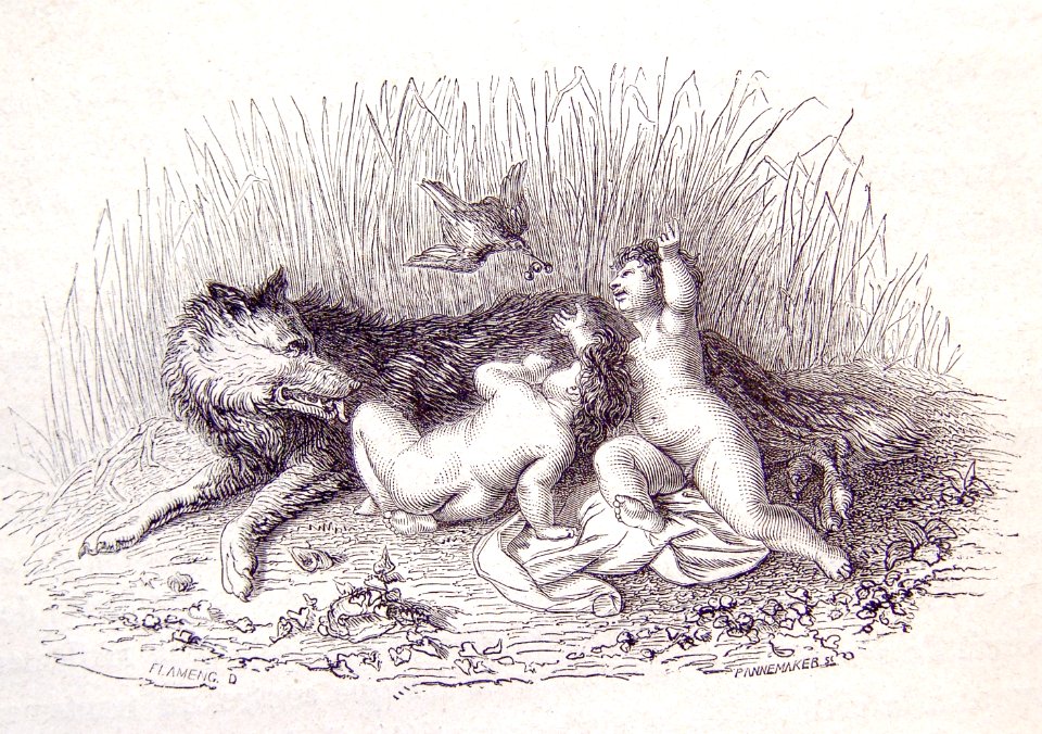 "Rómulo y Remo"