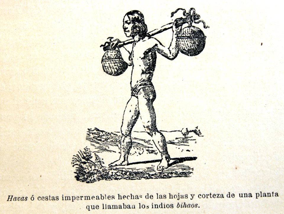 "Havas o cestas impermeables hechas de las hojas y corteza…
