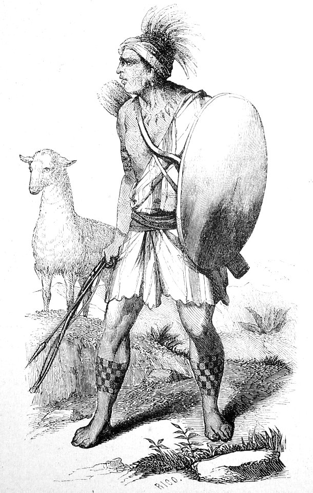 "Soldado peruano. - El LLama, rumiante del género de los c…