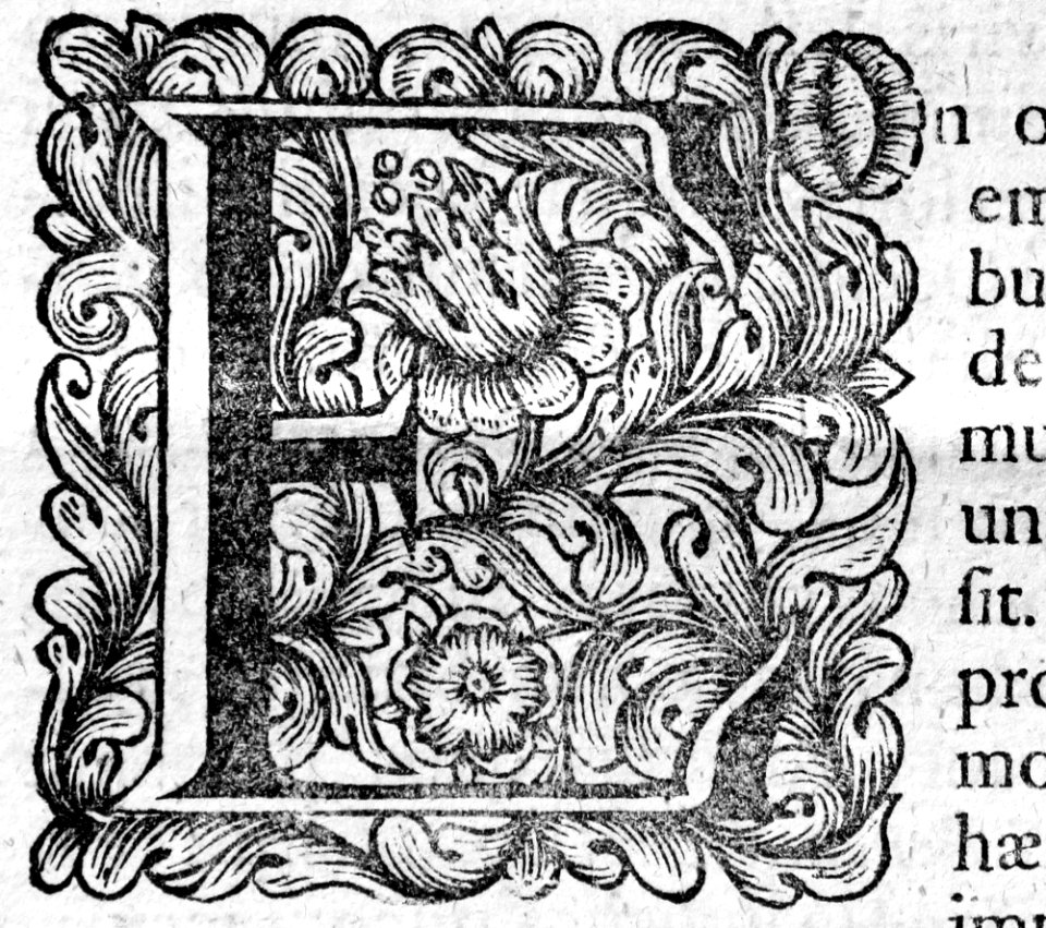 "Letra E"