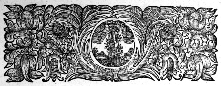 "Codex Theodosianus..."