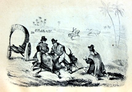 "Yerra del ganado en el Paraguay."