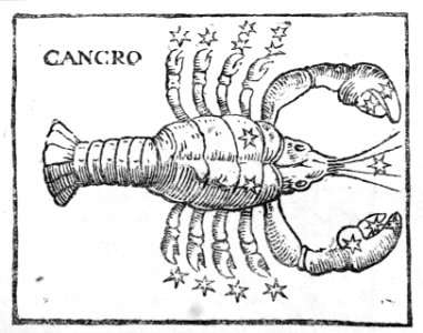 105005