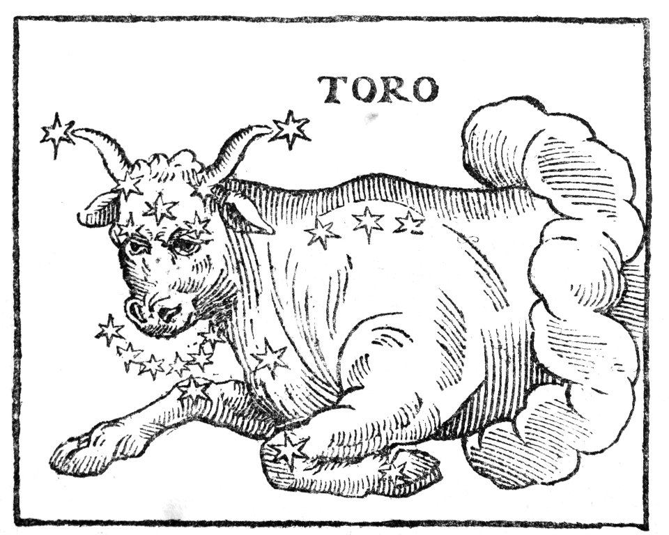 "Toro"