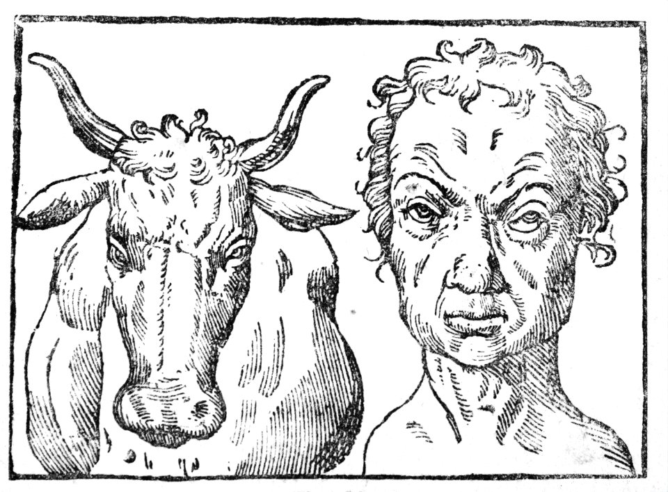 105016