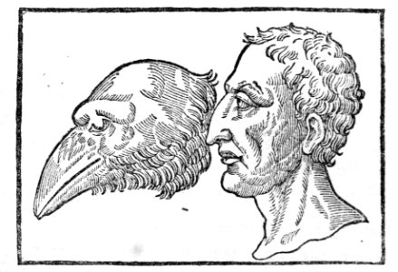 105031