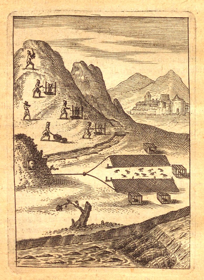 "AVRO VBIQUE RETIA"