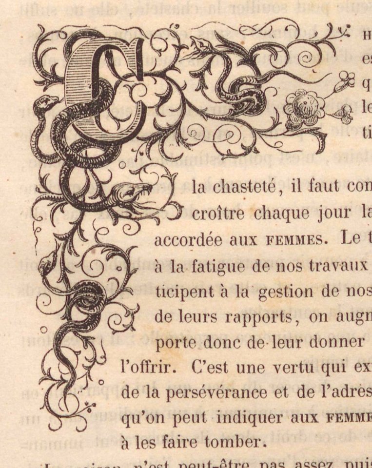 "Letra C"