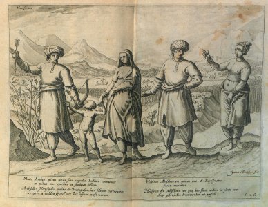 "Naute arabes quibis naves suas regendas Lusitani comittun…