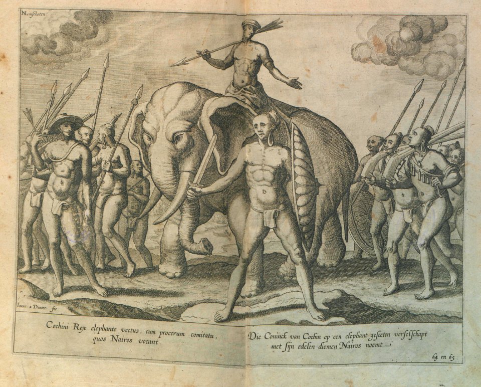 "Cochini rex elephante vectus ..."