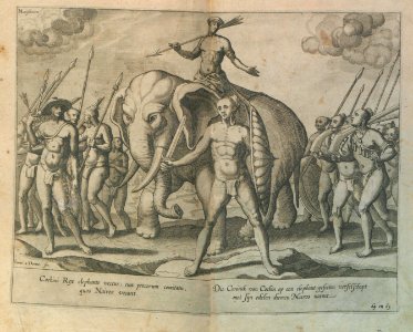"Cochini rex elephante vectus ..."