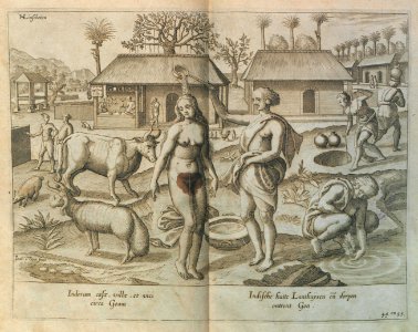 "Indorum casae, villae et vici circa Goam"