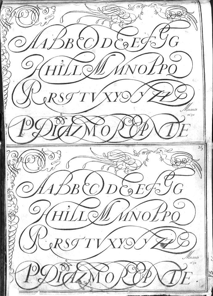 "Adornos caligráficos (Motivos animales)"