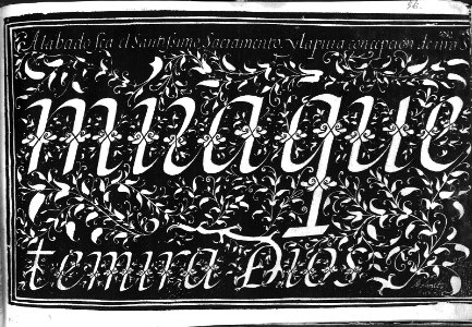 "Adornos caligráficos (Motivos vegetales)"