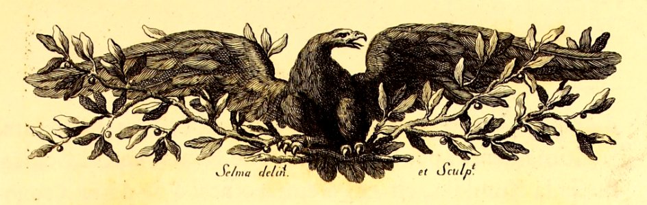 "Águila"